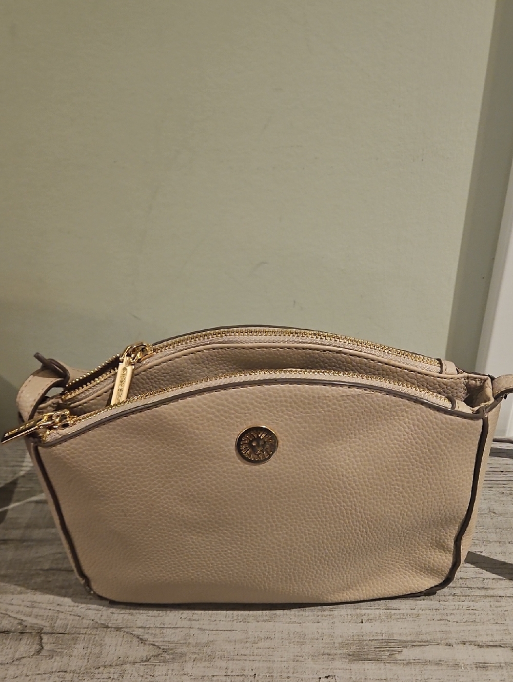 Anne Klein Pebbled Crossbody in Light Beige with Gold Accent